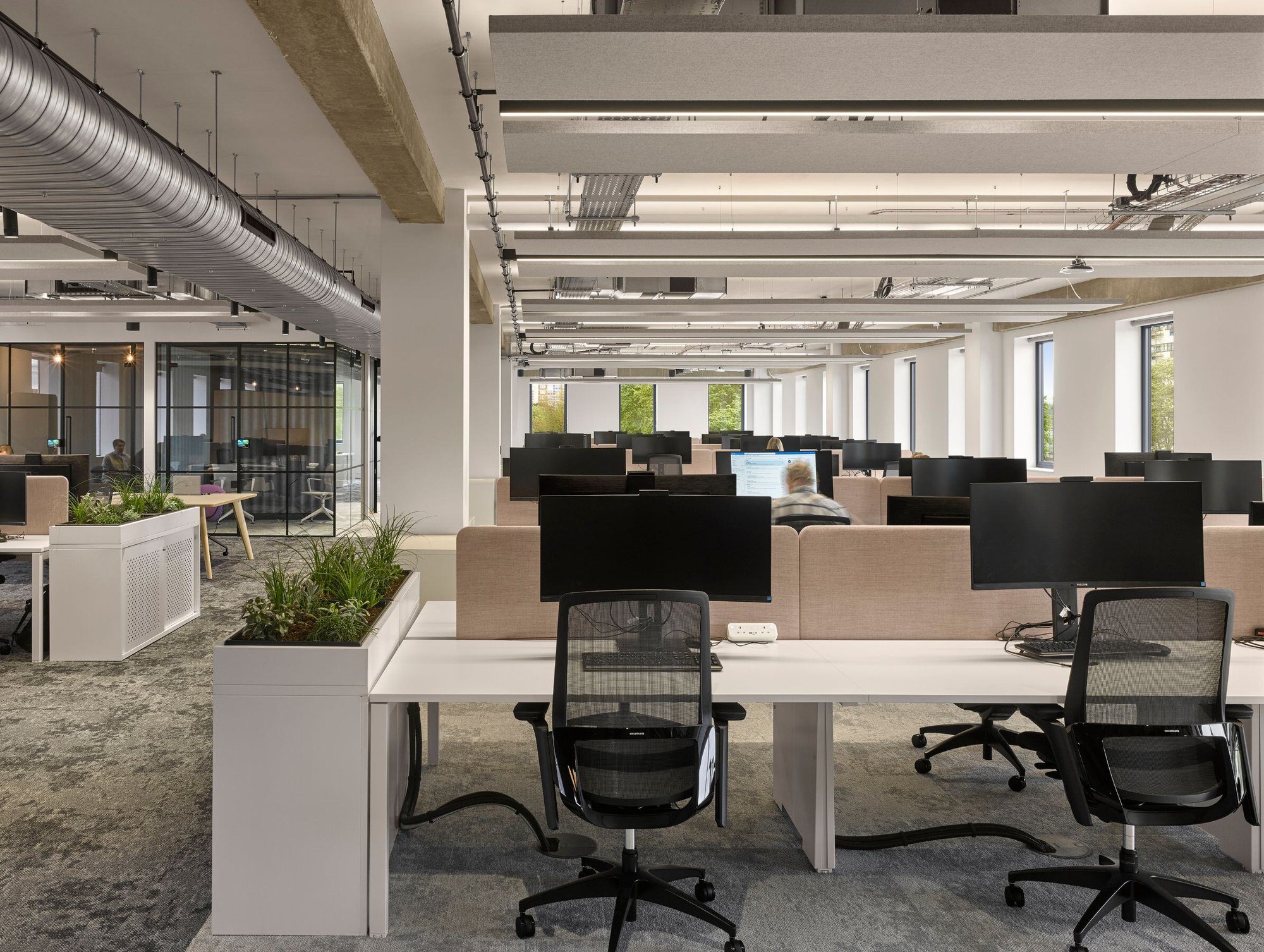 Linear Office Lighting