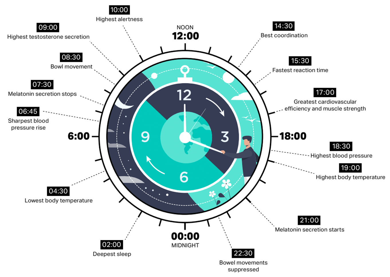 Circadian rhythm-1