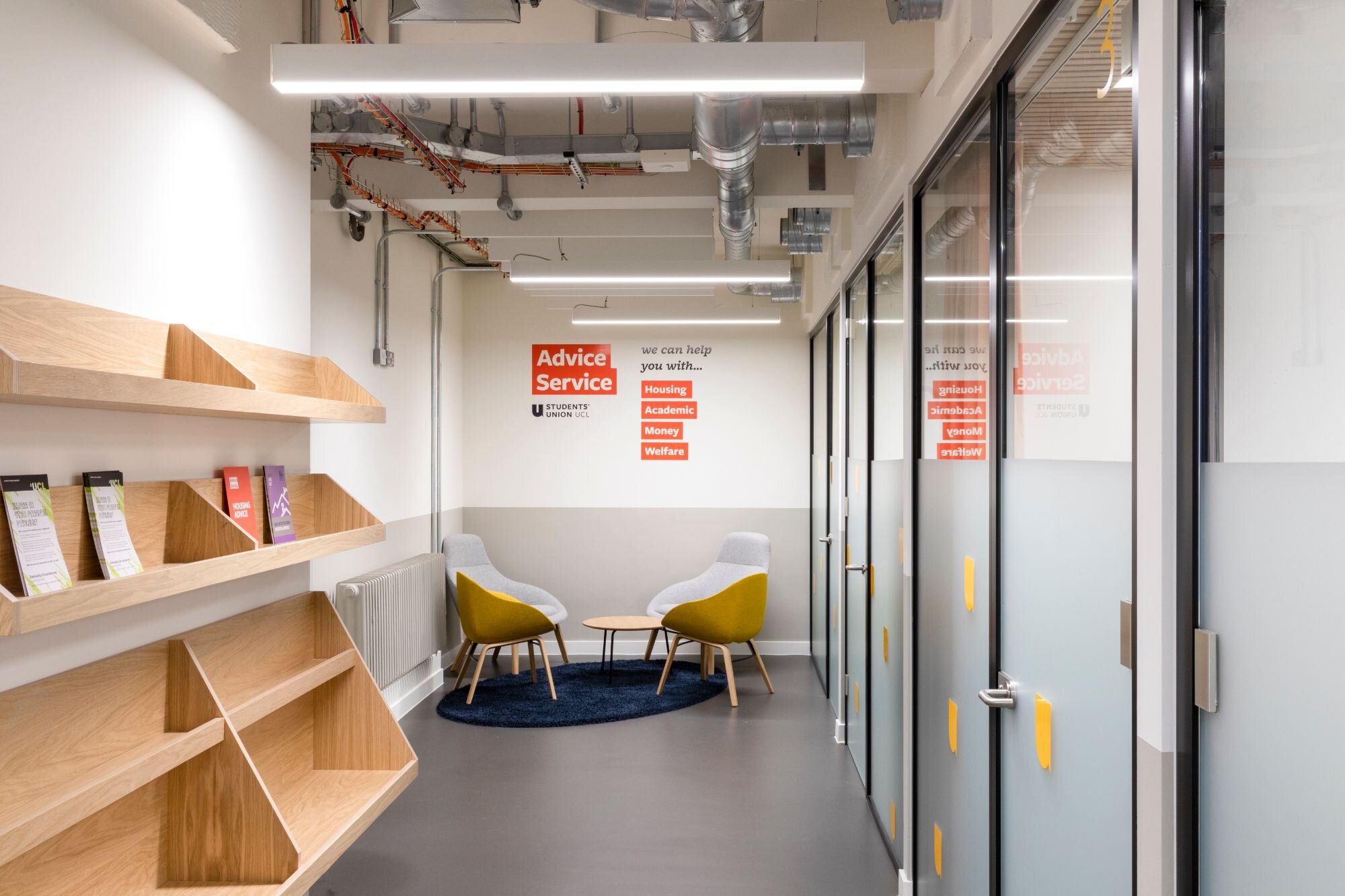 Track lighting for an education space CAT B fitout at UCL, 25 Gordon Street, London.