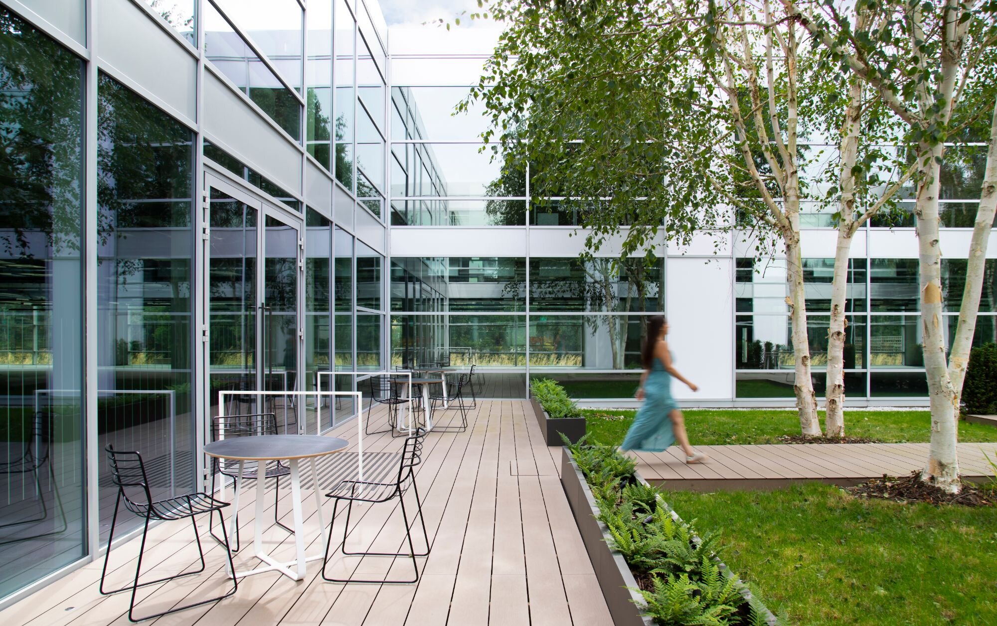 Office lighting for a stylish CAT A fitout at Birchwood Building, Surrey.