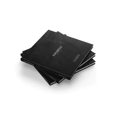 Karizma Luce brochure 