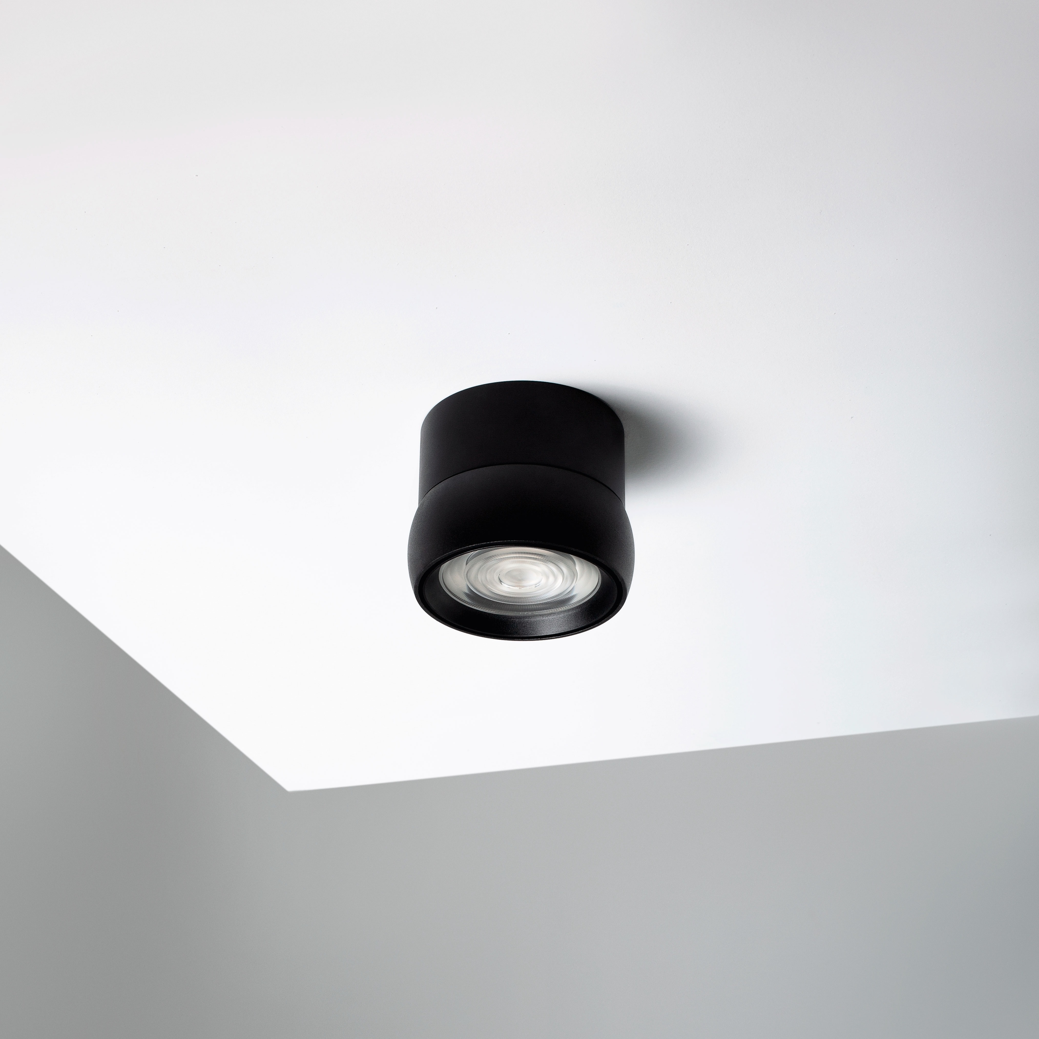 Black Adjustable Down Light