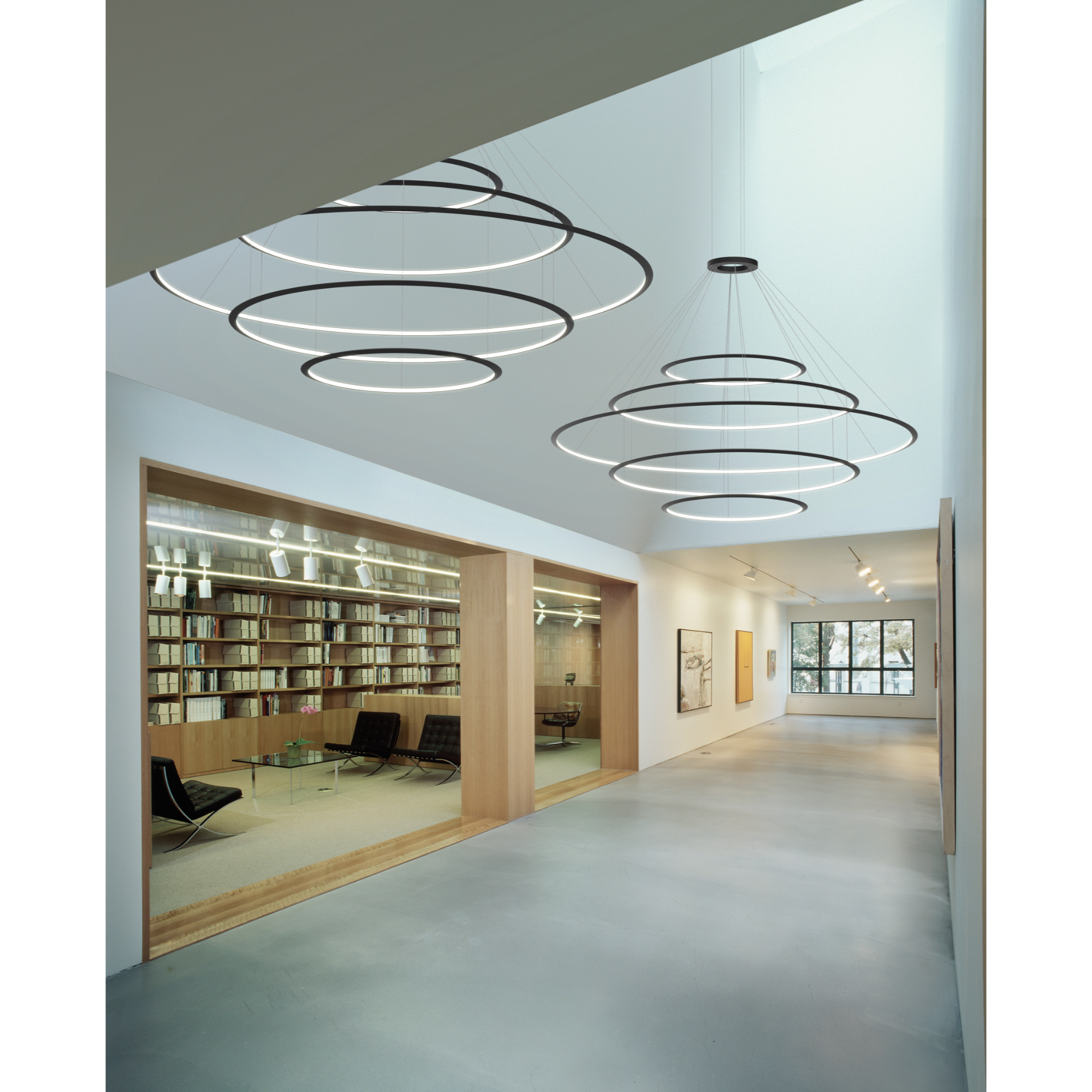 Circular Pendant Light Chandelier