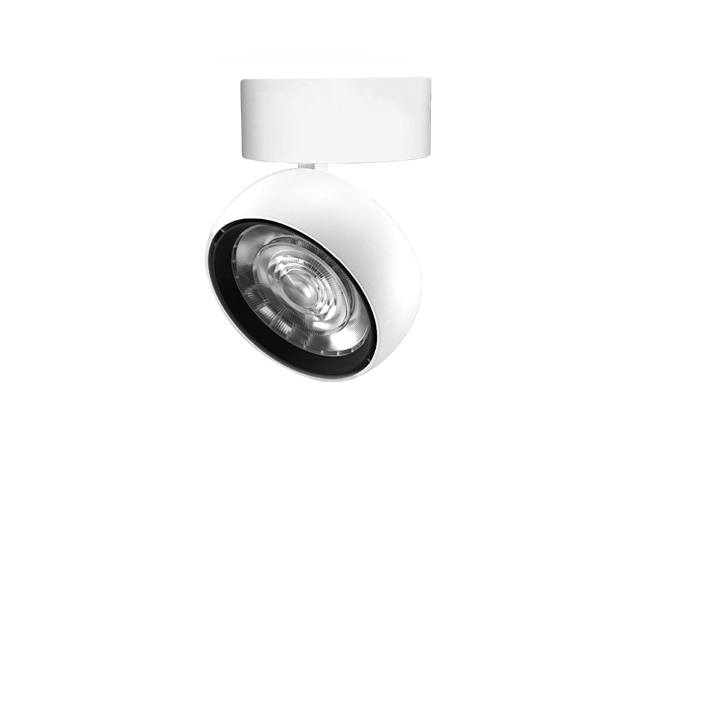 White Downlight