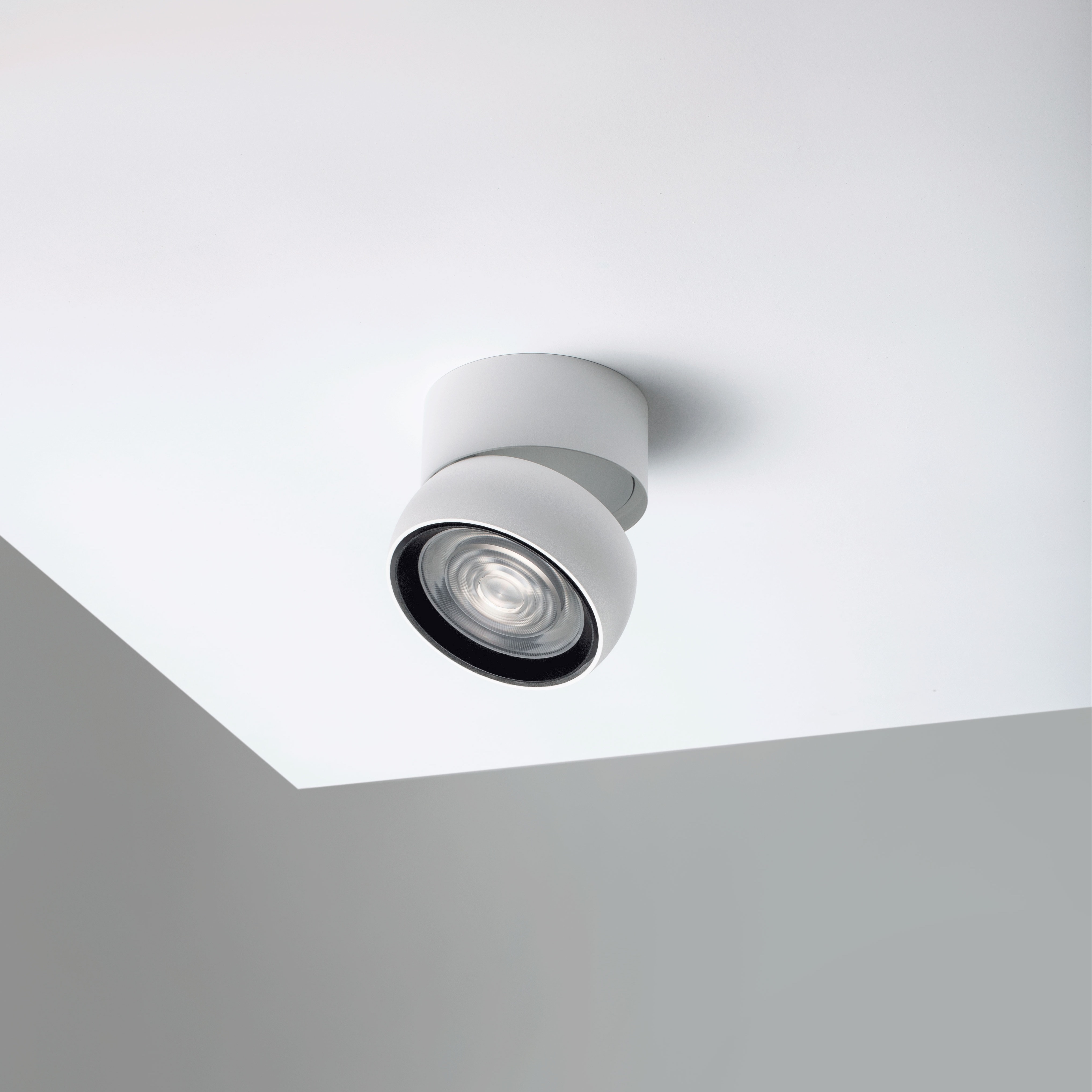 Eye Adjustable Downlight in White