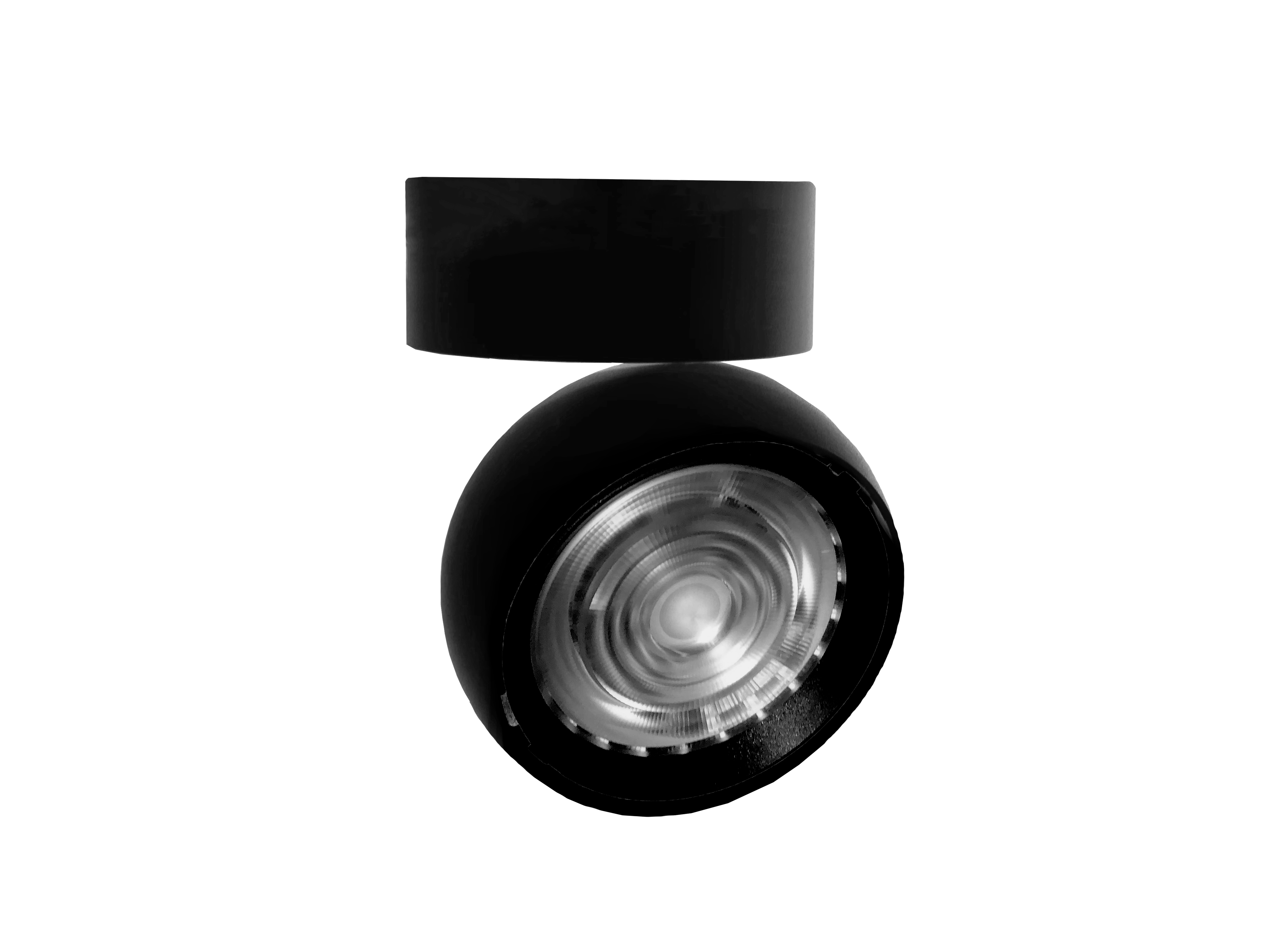 Eye Adjustable Black Downlight