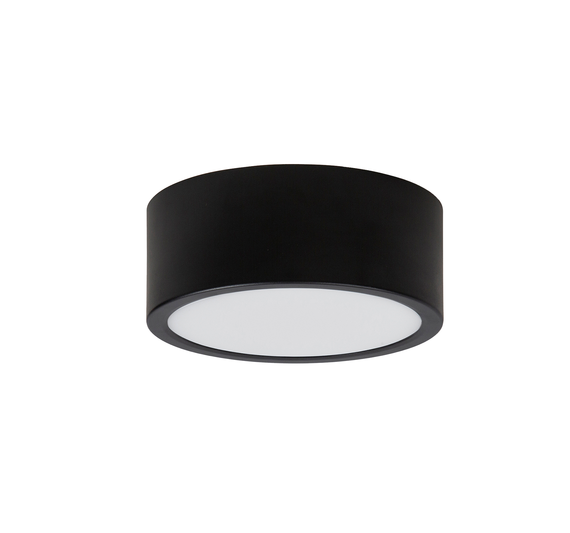 Holp Surface and Recessed Downlight
