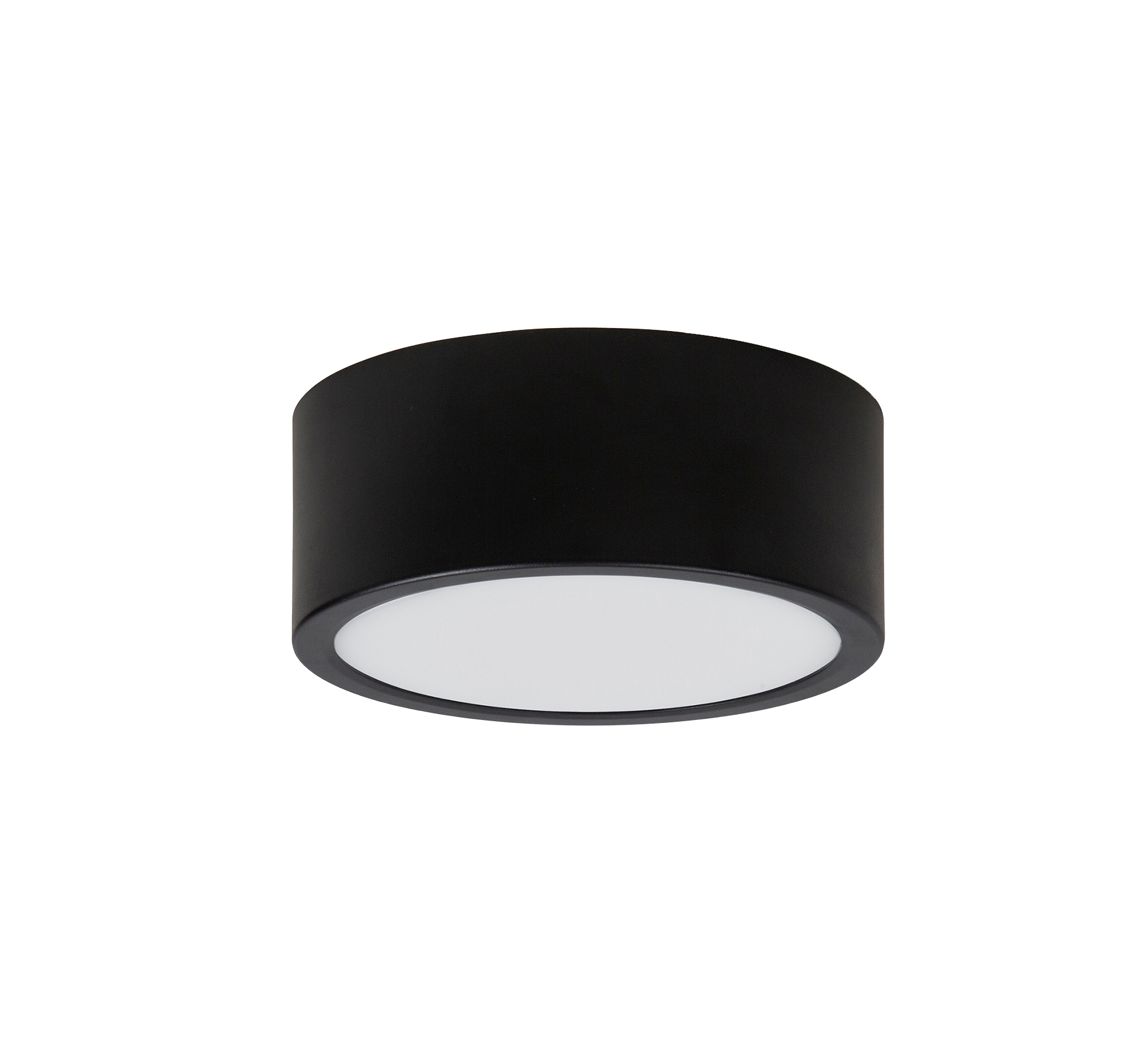 Holp Surface and Recessed Downlight