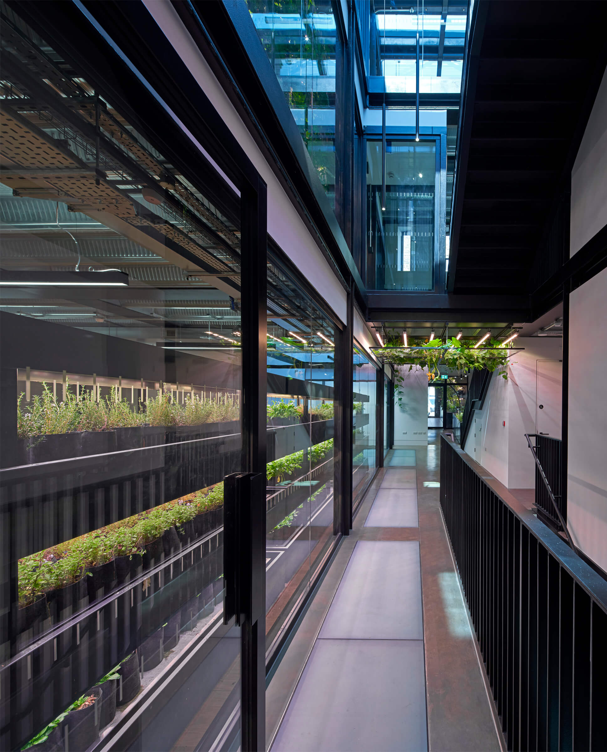Plantworks, 1-3 Britannia Street, London-biophilia-in-the-office-with-linear-profiles