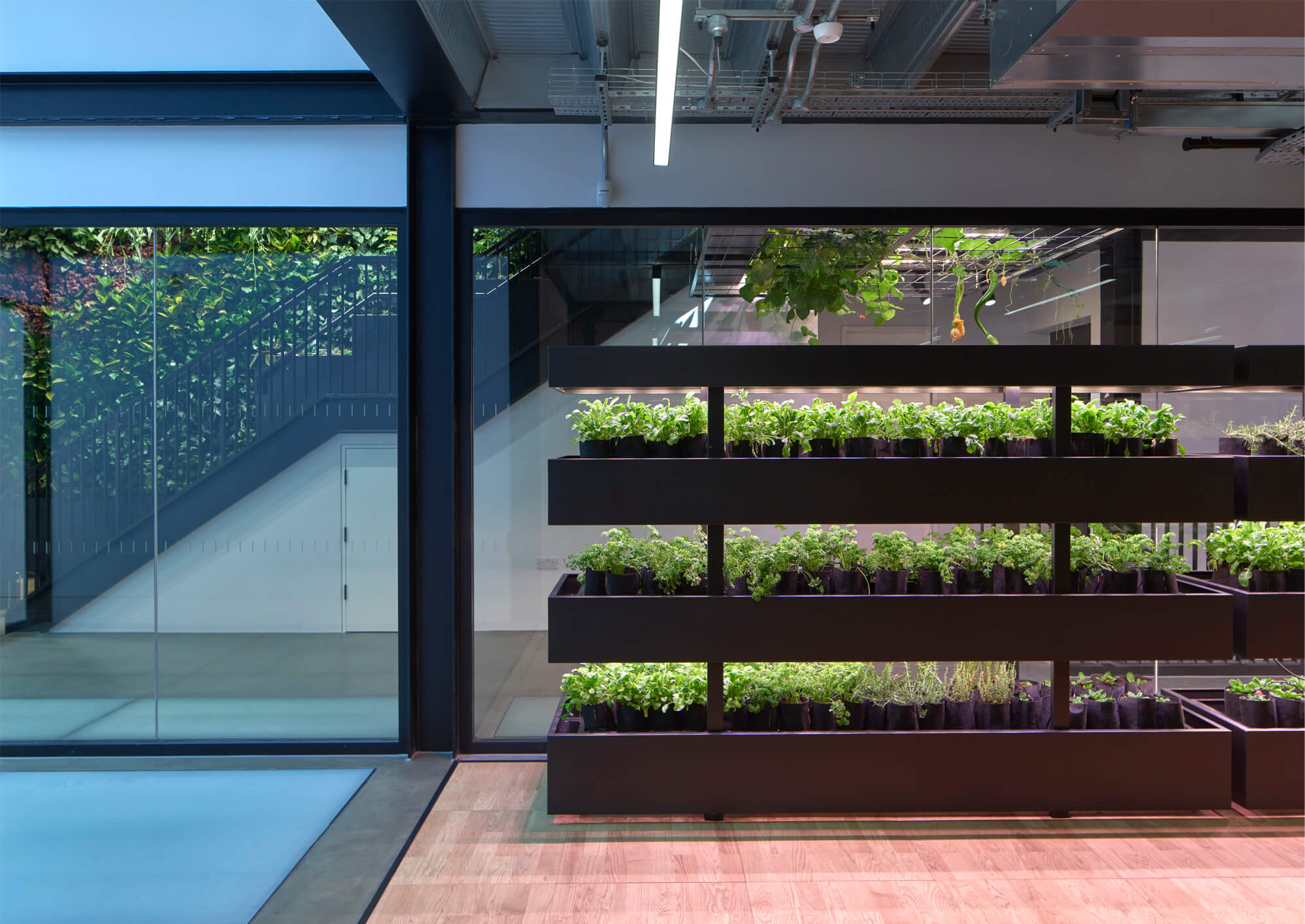 Plantworks, 1-3 Britannia Street, London-linear-profile-in-contemporary-office