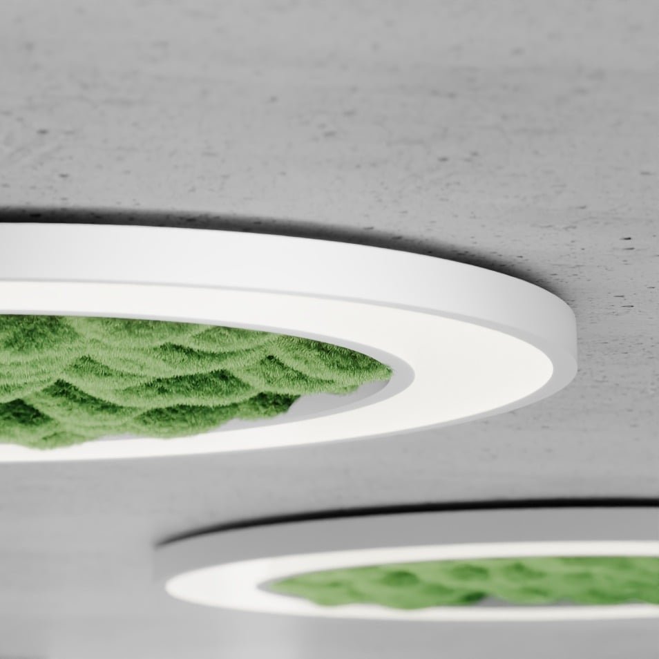Rom Surface White with Close Up Moss