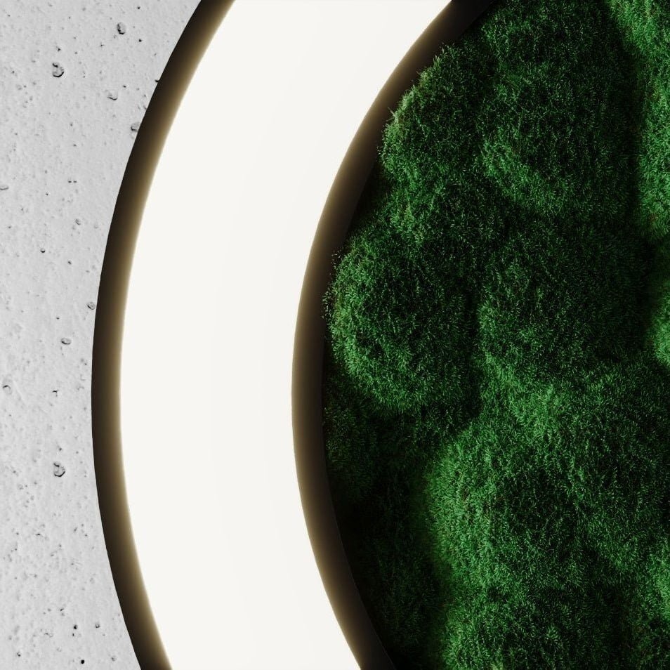 Rom with Moss Close Up