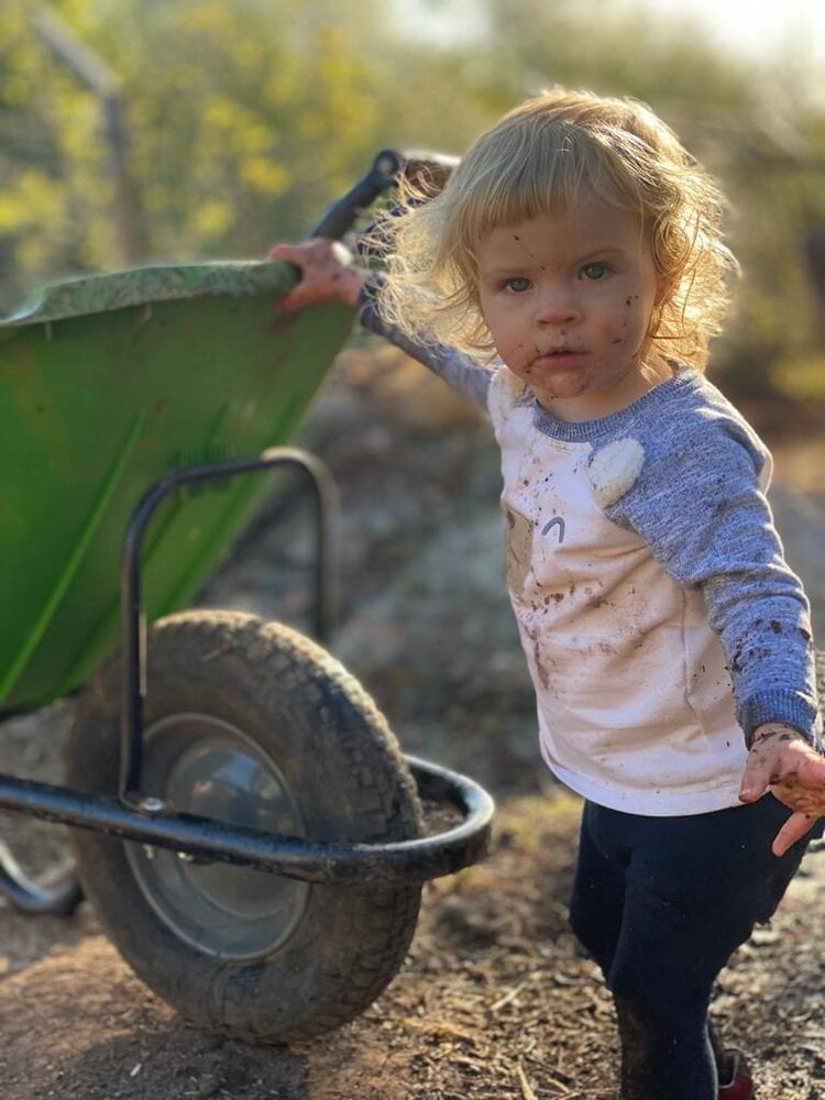 gardening-wheelbarrow