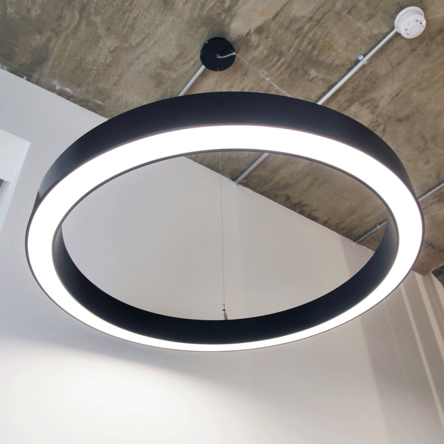 halo_pendant_suspended_lighting