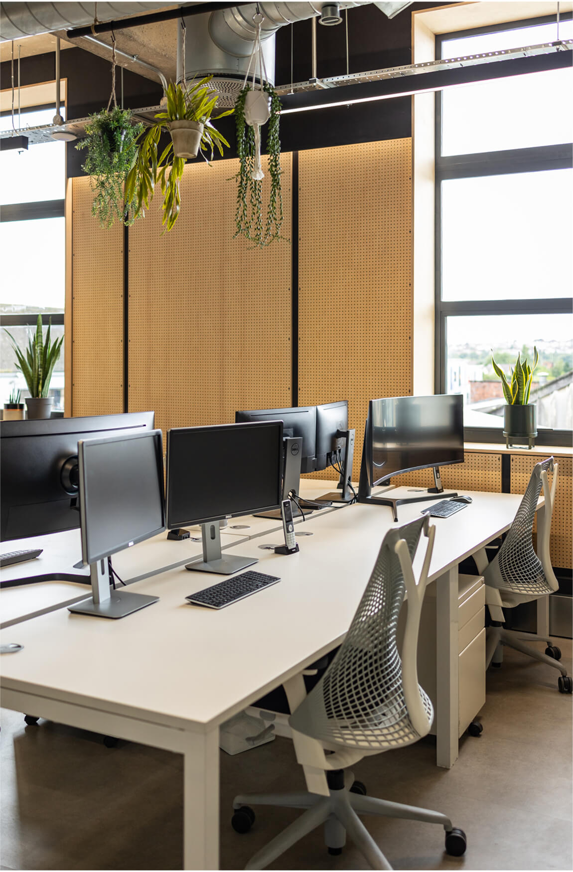 task-lighting-in-main-office-area