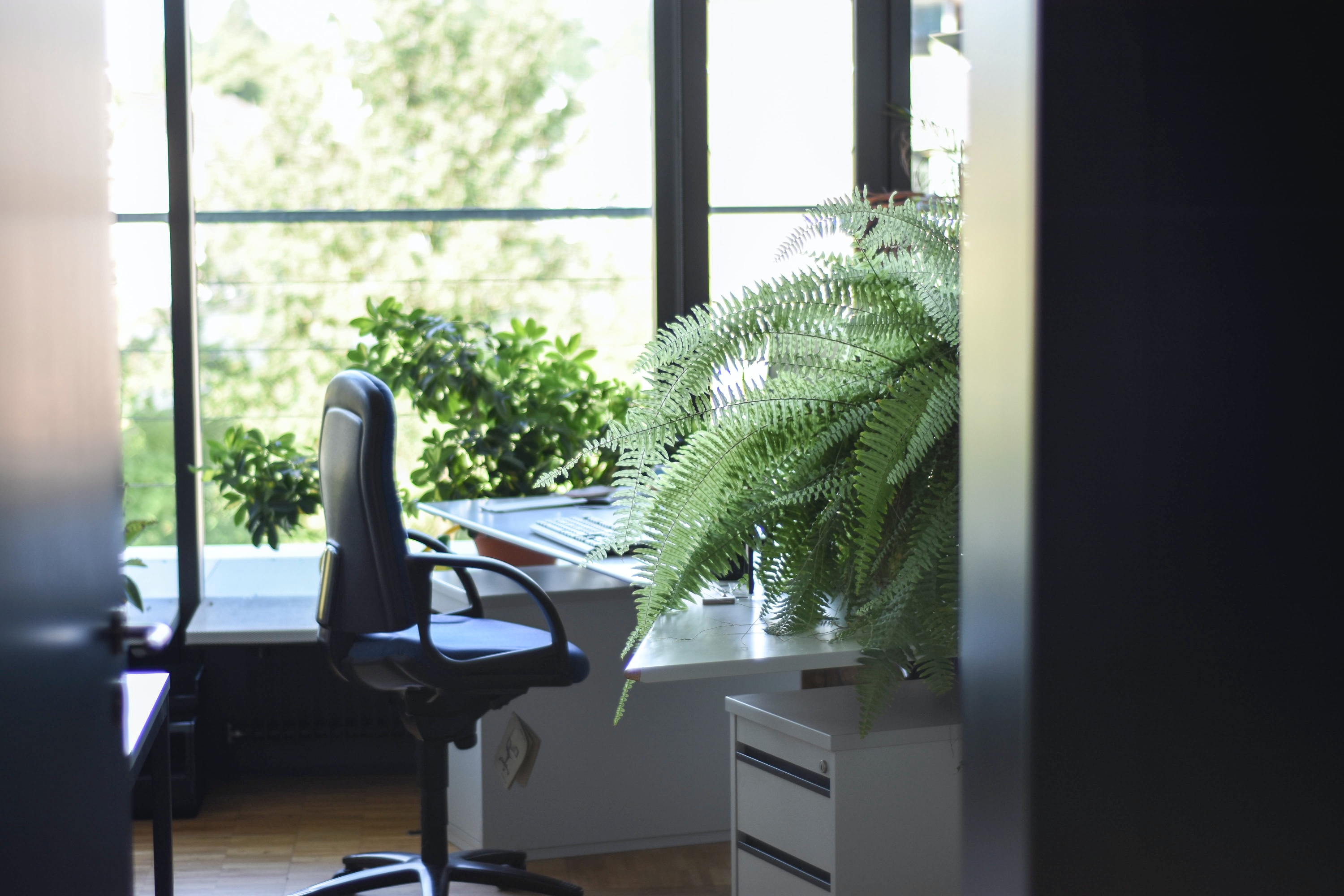 Contemporary office